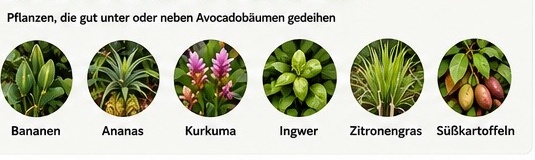 Nachbarpflanzen