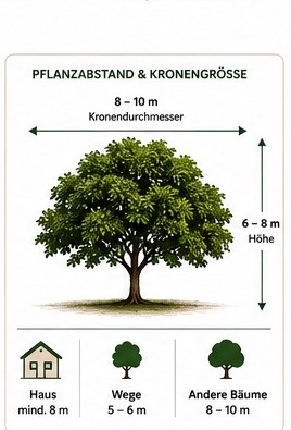 Pflanzabstand