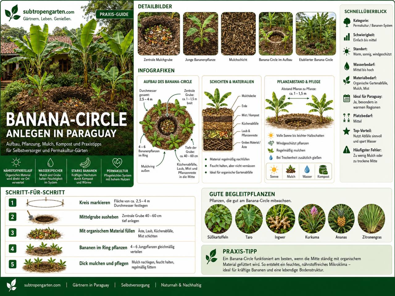 Banana-Circle in Paraguay anlegen - Aufbau mit Mulchmulde und Bananenring
