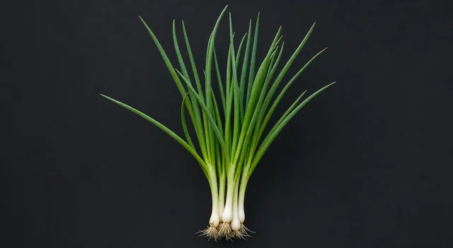 Frühlingszwiebel