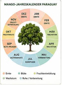 Mango Jahreskalender Paraguay