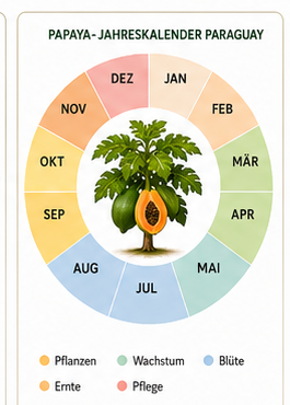 Jahreskalender Paraguay