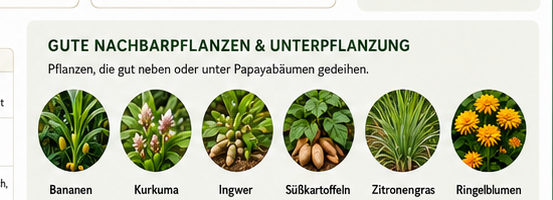 Nachbarpflanzen