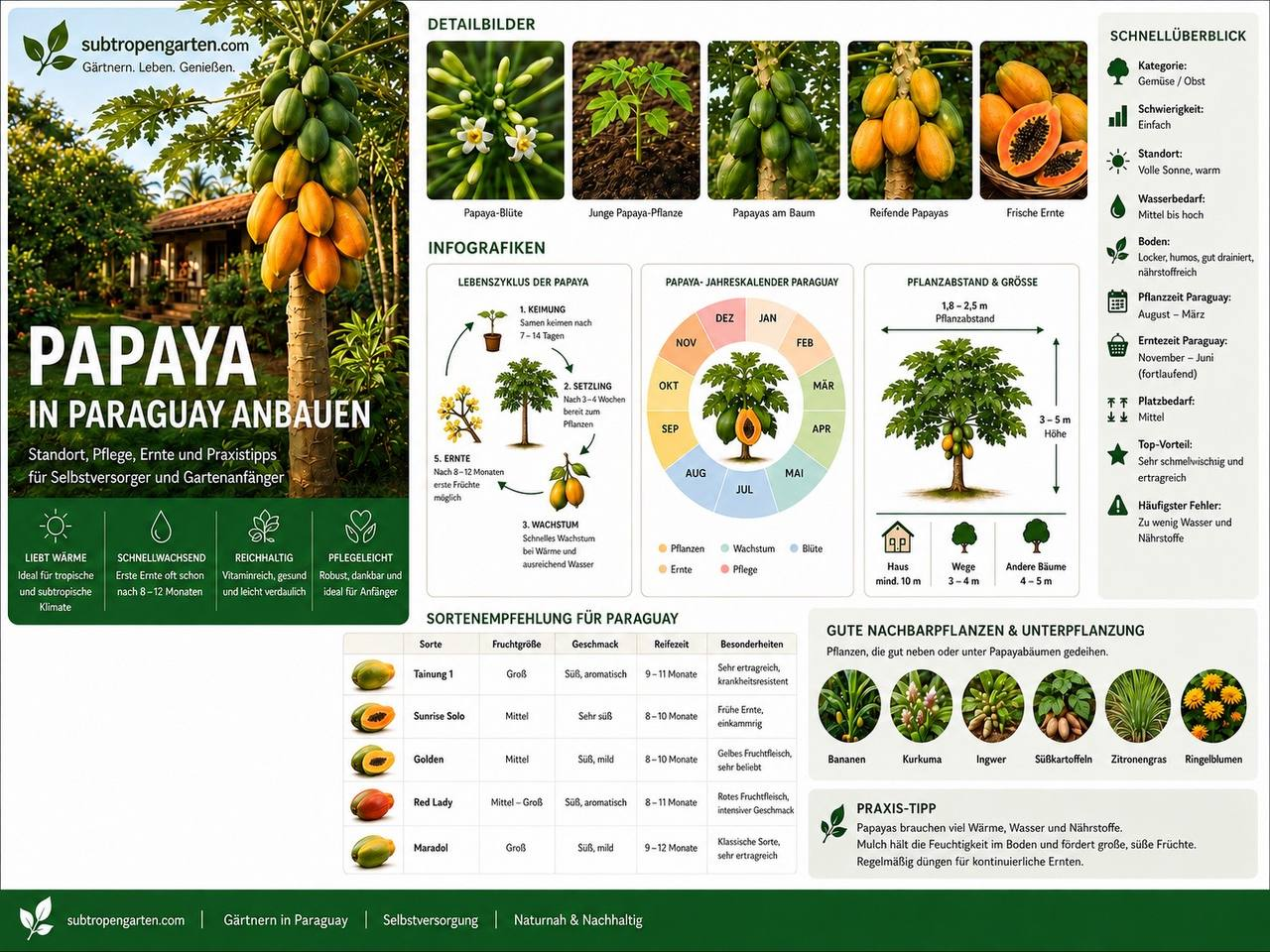 Papaya Premium-Übersicht