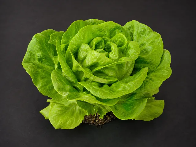 Salat