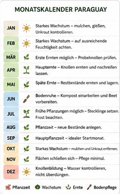 Monatskalender Paraguay für Süßkartoffeln